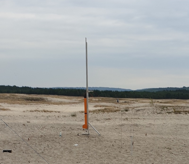 piranga.jpg